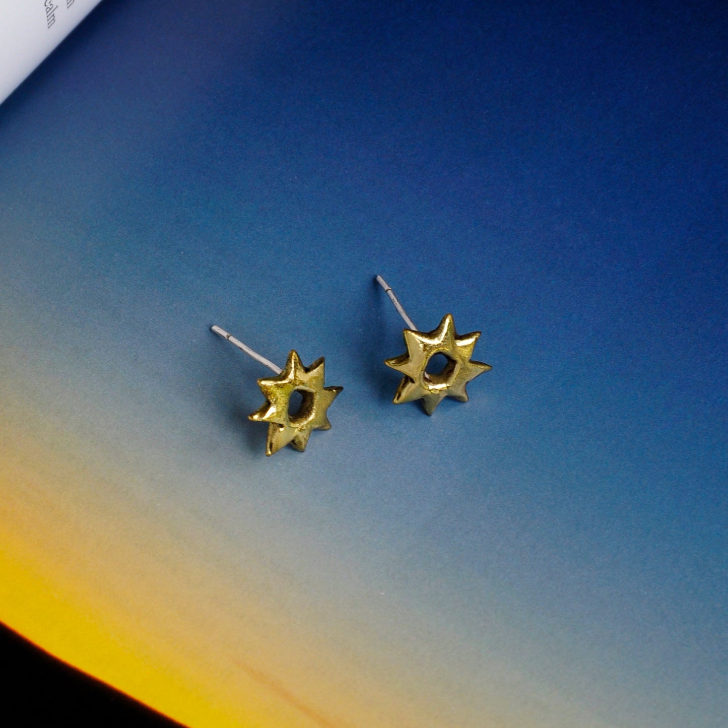 Bituon Stud Earrings