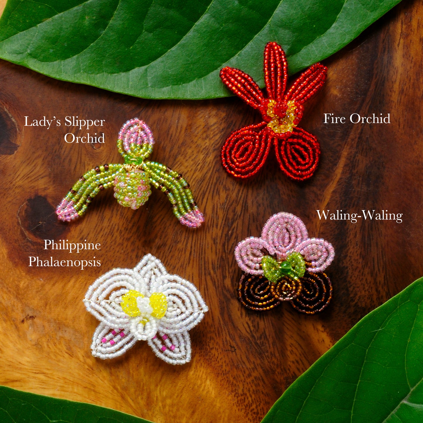 Philippine Orchid Brooches
