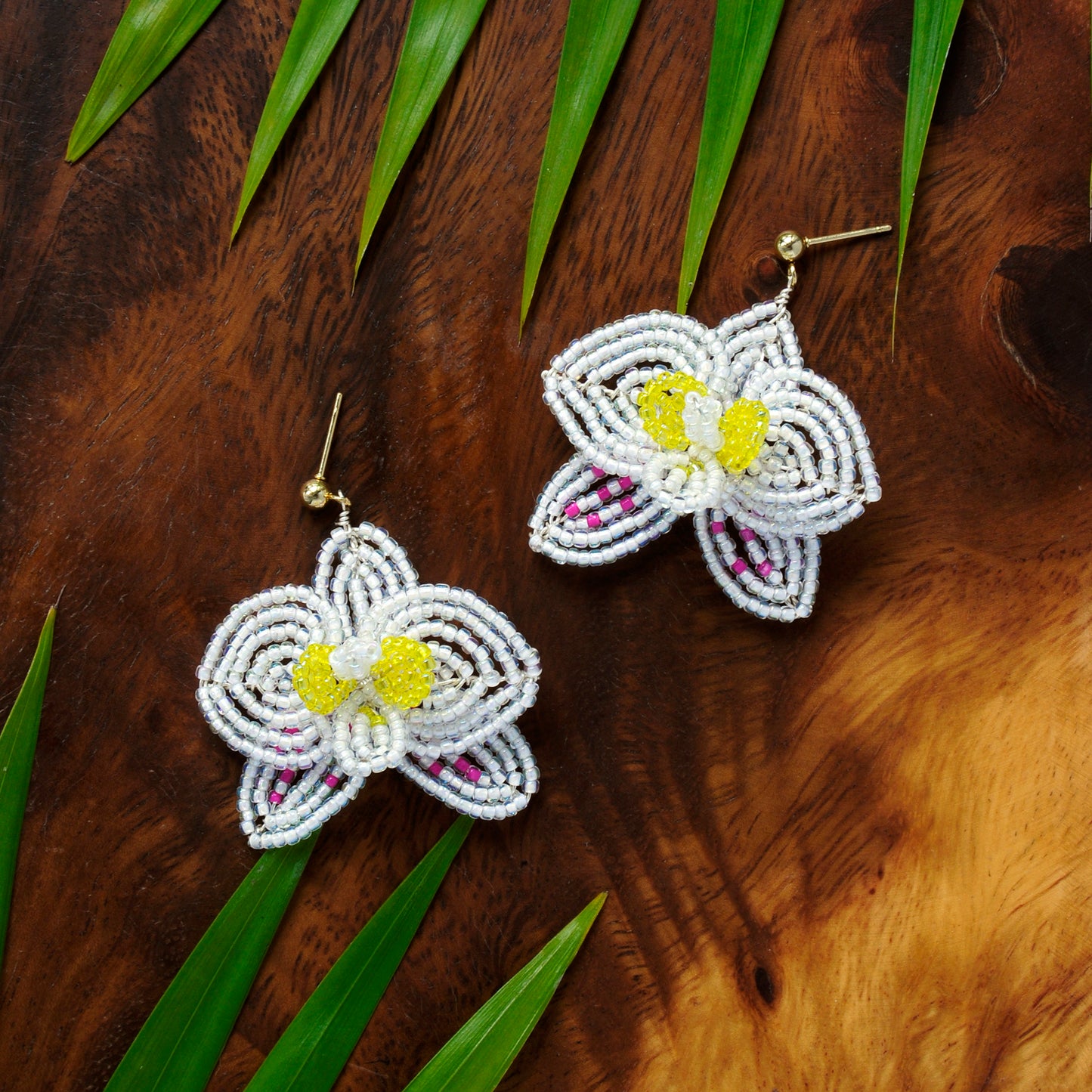 Philippine Phalaenopsis Earrings
