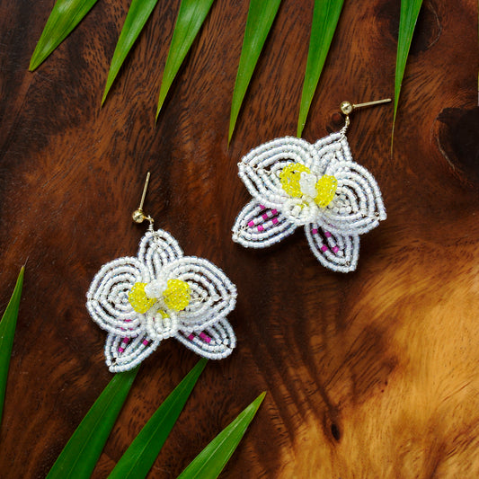 Philippine Phalaenopsis Earrings
