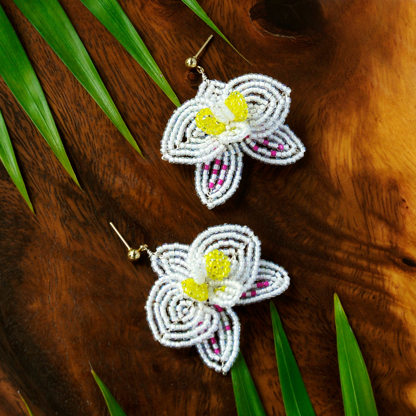 Philippine Phalaenopsis Earrings